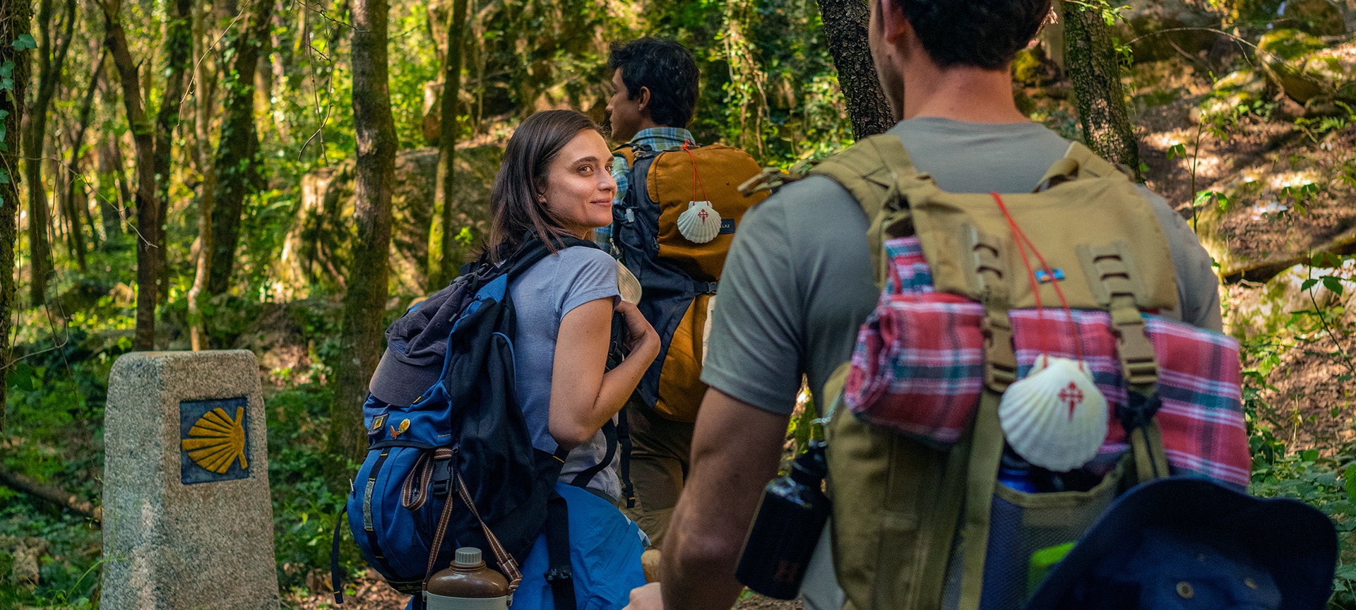 Recursos multimedia Recursos multimedia