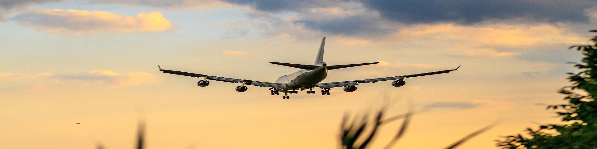 Jornadas Profesionales