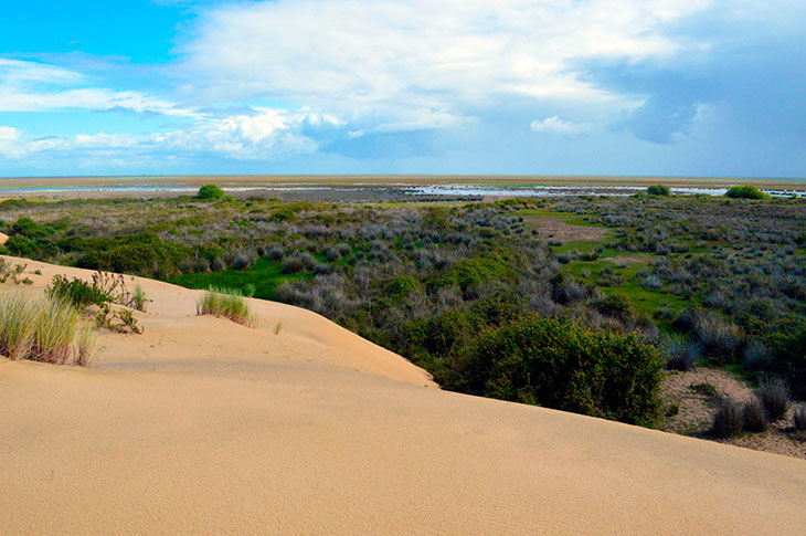 Vista de las marismas del Parque Nacional de Doñana, Reserva de la Biosfera Vista de las marismas del Parque Nacional de Doñana, Reserva de la Biosfera