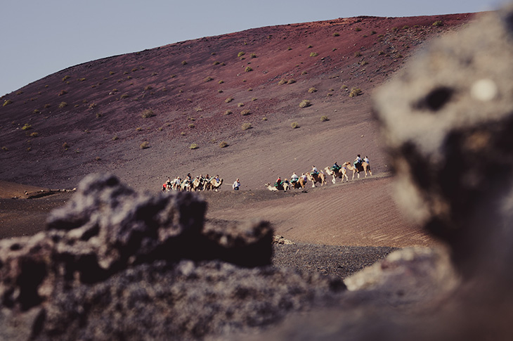 Camel ride, Timanfaya National Park (Lanzarote, Canary Islands)