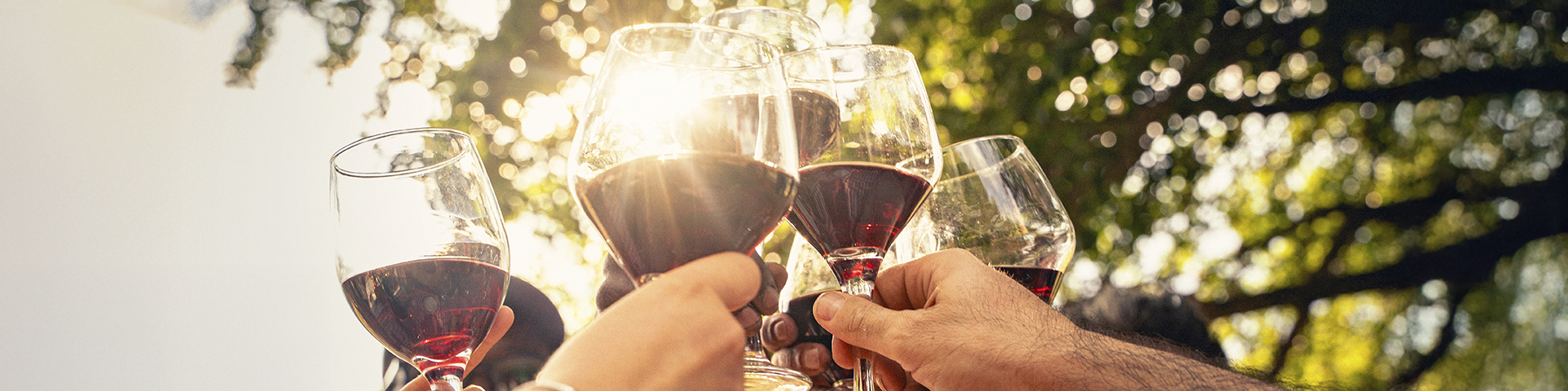 Thanks to the Wine Routes in Spain and their associated activities in wineries, vineyards, and museums, wine tourism has established itself as a touristic, cultural, and economic driving force for numerous destinations across the Spanish geography.
