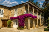 Pazo de San Mauro, where the Albariño variety is cultivated, forms part of the Wineries for Climate Protection network, the first and only sector-specific sustainability certification Pazo de San Mauro, where the Albariño variety is cultivated, forms part of the Wineries for Climate Protection network, the first and only sector-specific sustainability certification