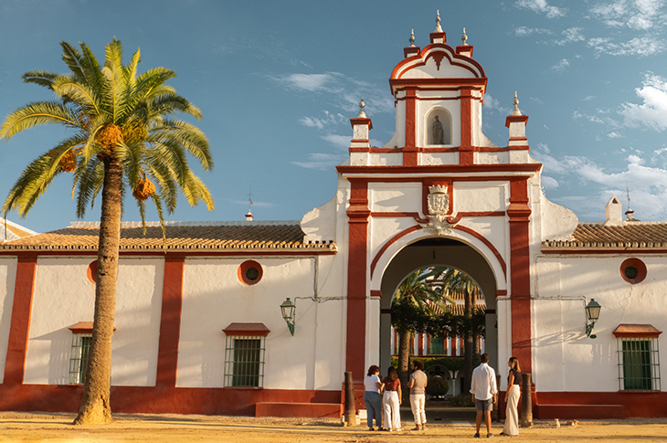 On an estate with over 500 years of tradition, Hacienda Guzmán (Seville) exemplifies the transformation of an agri-food activity into a unique olive-oil tourism experience