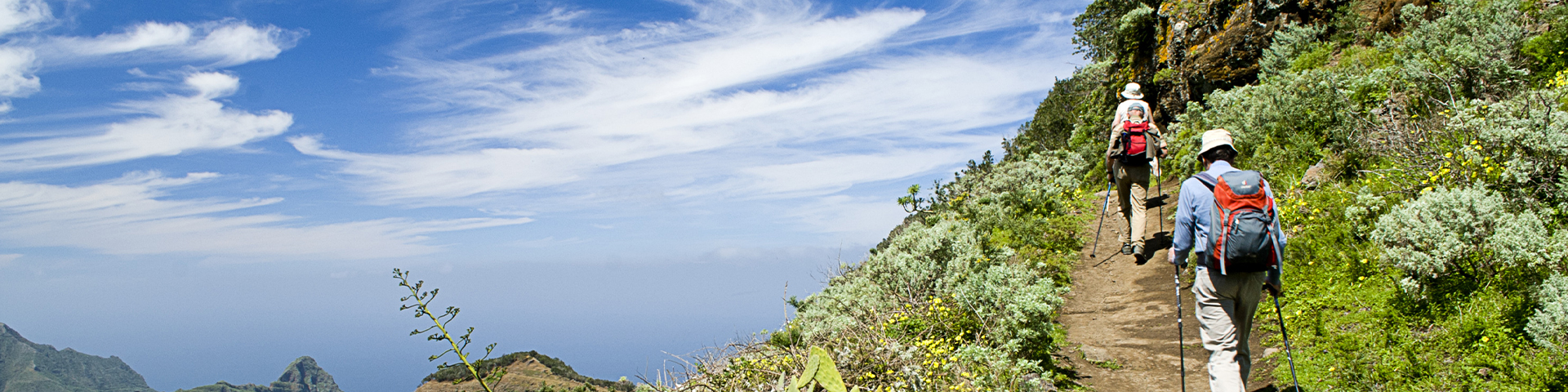 El Sendero Cruz del Carmen-Punta del Hidalgo (Santa Cruz de Tenerife) tiene 10 km. de longitud y un desnivel máximo de 916 metros