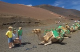 Visitar el Parque Nacional de Timanfaya en un dromedario es una de las actividades familiares más exóticas Visitar el Parque Nacional de Timanfaya en un dromedario es una de las actividades familiares más exóticas