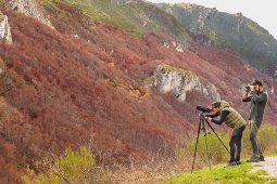 Somiedo Natural Park (Asturias, Spain) is a key destination for brown bear spotting