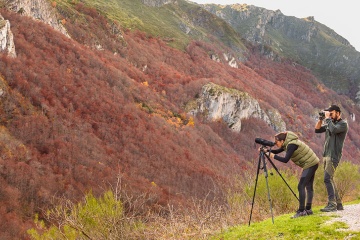 El Parque Natural de Somiedo (Asturias, España) es una de las zonas de referencia para el avistamiento de osos pardos