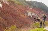 El Parque Natural de Somiedo (Asturias, España) es una de las zonas de referencia para el avistamiento de osos pardos El Parque Natural de Somiedo (Asturias, España) es una de las zonas de referencia para el avistamiento de osos pardos