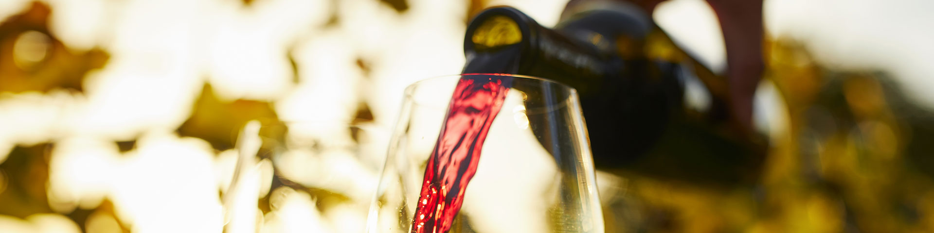 Degustações de vinhos em vinícolas, vinhedos e no centro histórico de Zaragoza serão uma das grandes atrações das escapadas temáticas para a cidade aragonesa em 2025