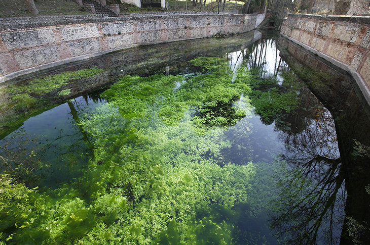 Fuente Grande o Aynadamar es un manantial situado en la parte alta de Alfacar, junto al Parque Federico García Lorca