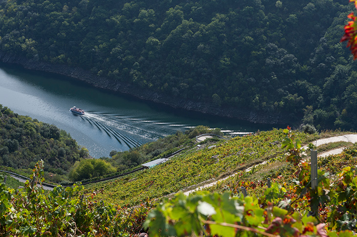 Ribeira Sacra julistettiin biosfäärialueeksi vuonna 2021. Se on seitsemäs galicialainen alue, joka on saanut tämän tunnustuksen © Shutterstock Ribeira Sacra julistettiin biosfäärialueeksi vuonna 2021. Se on seitsemäs galicialainen alue, joka on saanut tämän tunnustuksen © Shutterstock