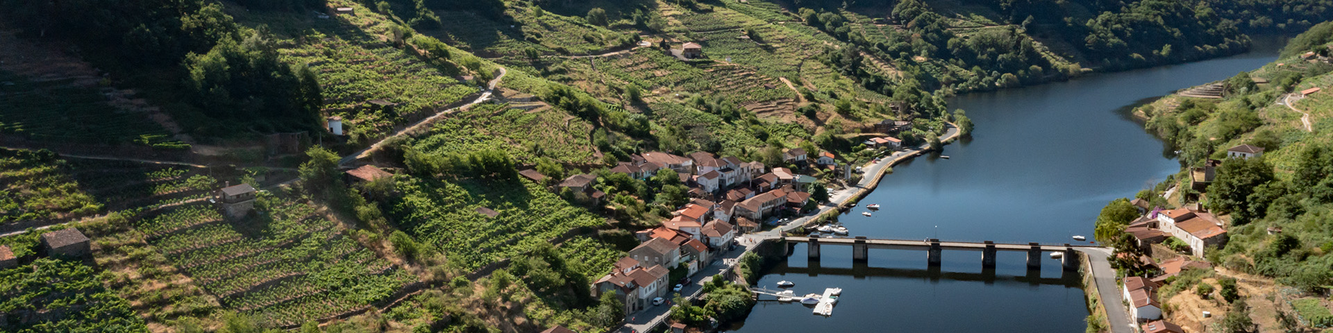 La Ribeira Sacra es una zona de producción vinícola con una extensión cercana a las 2.500 hectáreas de viñedo