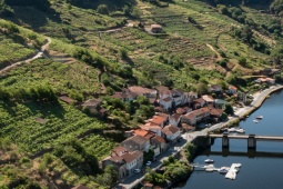 La Ribeira Sacra es una zona de producción vinícola con una extensión cercana a las 2.500 hectáreas de viñedo