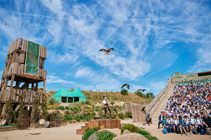 The caliphates falcons and cranes face off against Castilian owls, eagles, and black kites in the Cetrería de Reyes falconry show