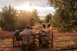 Tastings among the olive trees: a highly sought-after experience for lovers of rural life