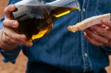 The Oleoturismo de Lleida. El sabor de la tierra (“Lleida olive-oil tourism. The taste of the land”) project is structured into 46 experiences spread across Les Garrigues, El Urgell, El Segrià, and La Noguera The Oleoturismo de Lleida. El sabor de la tierra (“Lleida olive-oil tourism. The taste of the land”) project is structured into 46 experiences spread across Les Garrigues, El Urgell, El Segrià, and La Noguera