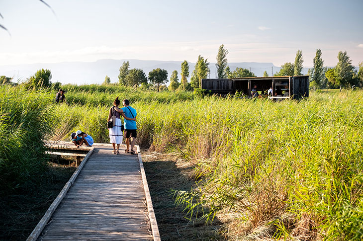 Las visitas a la Séquia Major son gratuitas y explican la historia del lugar y sus valores naturales, se interpretan los rastros de actividad animal y se observan aves con prismáticos