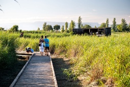 Visits to the Séquia Major are free of charge and explain the history of the site and its natural values, interpreting traces of animal activity and observing birds with binoculars