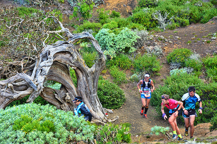 La maratón del Meridiano es la cita deportiva por excelencia de la isla de El Hierro La maratón del Meridiano es la cita deportiva por excelencia de la isla de El Hierro