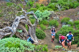 The Meridiano Marathon is the premier sporting event on the island of El Hierro