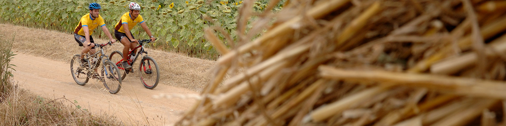 Girona permite a los ciclistas pedalear entre campos agrícolas y bellos caminos rurales