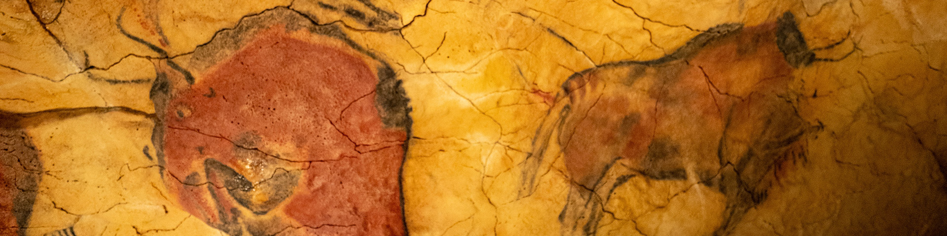 La cueva de Altamira (Cantabria) es una cavidad natural en la roca donde se conserva uno de los conjuntos pictórico-artísticos más importantes de la prehistoria