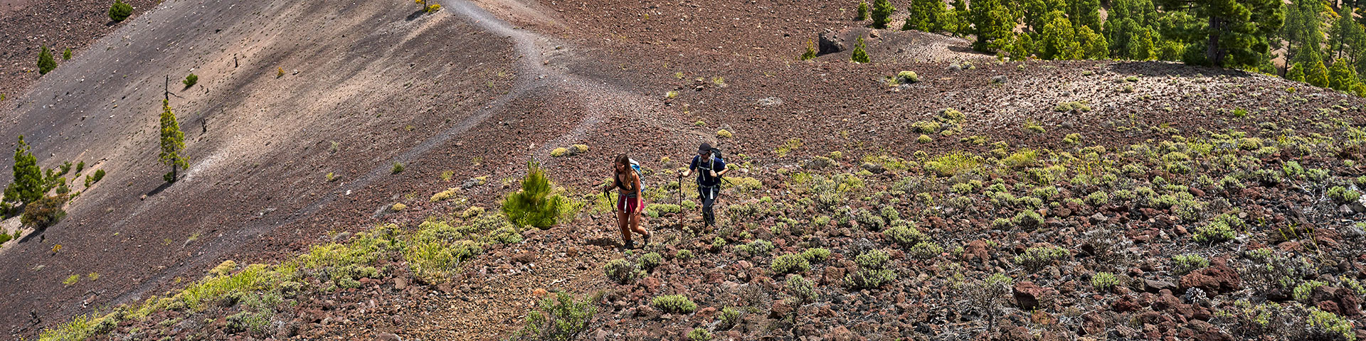 As Ilhas Canárias lançaram o seu Plano Diretor de Ação Climática para promover a descarbonização do turismo e apoiar os projetos que regeneram ecossistemas e reduzem as emissões © Turismo Canarias