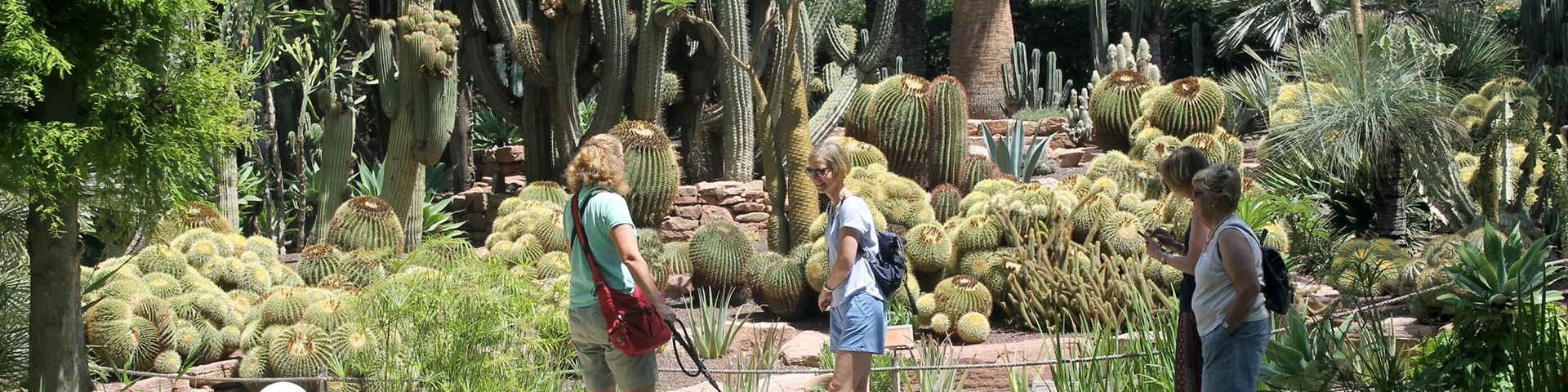 El Huerto del Cura une patrimonio, belleza botánica y una atmósfera que invita a un recorrido sin prisa