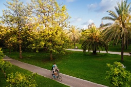 Valencia boasts 5 square kilometers of gardens and green areas, as well as La Albufera Natural Park