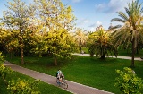 Valencia boasts 5 square kilometers of gardens and green areas, as well as La Albufera Natural Park Valencia boasts 5 square kilometers of gardens and green areas, as well as La Albufera Natural Park