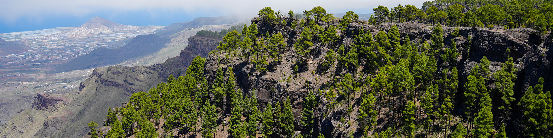 Tamadaba dabas parka gaisa attēls Agaete, ar vienu no labākajiem vietējiem priežu mežiem Kanāriju salās un bioloģiskās daudzveidības pilniem stūriem