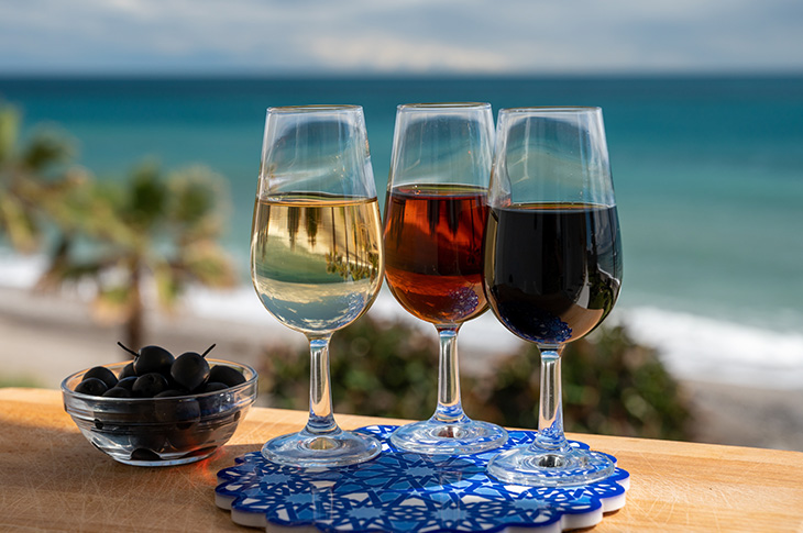 Degustacja trzech win z Marco de Jerez na plaży Puerto de Santa María (Kadyks, Hiszpania)