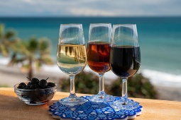 Tasting of three wines from the Jerez region on the beach of Puerto de Santa María (Cádiz, Spain)