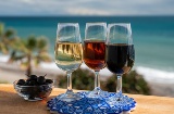 Tasting of three wines from the Jerez region on the beach of Puerto de Santa María (Cádiz, Spain)