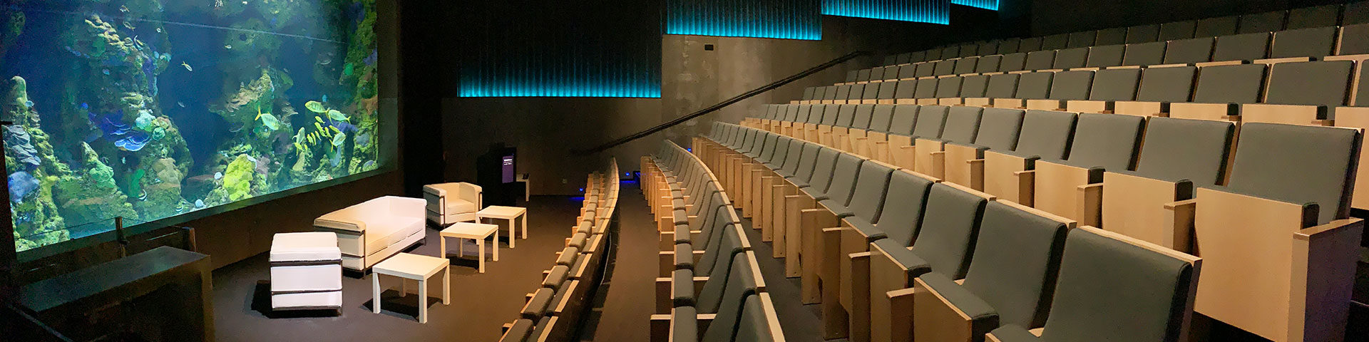 The San Sebastián Auditorium is dominated by a spectacular tropical fauna aquarium and has capacity for 160 people