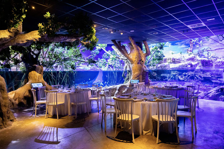 Mangrove dinner, one of the experiences offered at the Seville Aquarium, located just 15 minutes on foot from the city center