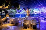 Mangrove dinner, one of the experiences offered at the Seville Aquarium, located just 15 minutes on foot from the city center Mangrove dinner, one of the experiences offered at the Seville Aquarium, located just 15 minutes on foot from the city center