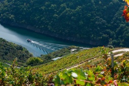 Togrejserne kan suppleres med katamaransejlads på floden Sil, hvor den besøgende kan opleve de imponerende vinmarker på skråningerne i Ribeira Sacra