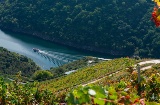 Togrejserne kan suppleres med katamaransejlads på floden Sil, hvor den besøgende kan opleve de imponerende vinmarker på skråningerne i Ribeira Sacra Togrejserne kan suppleres med katamaransejlads på floden Sil, hvor den besøgende kan opleve de imponerende vinmarker på skråningerne i Ribeira Sacra