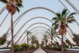 Umbraculum, City of Arts and Sciences, Valencia, Spain