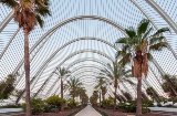 Umbráculo, Ciudad de las Artes y las Ciencias, Valencia, España