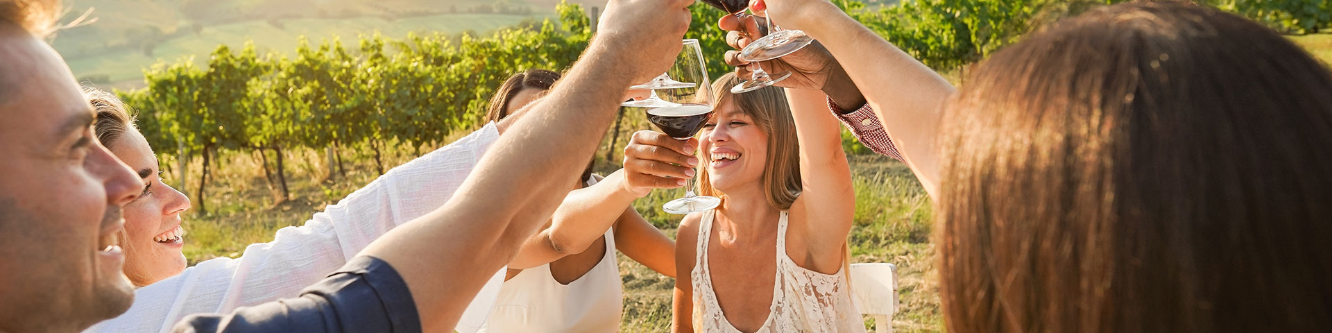 Viininmaistelua viinitarhalla © Shutterstock