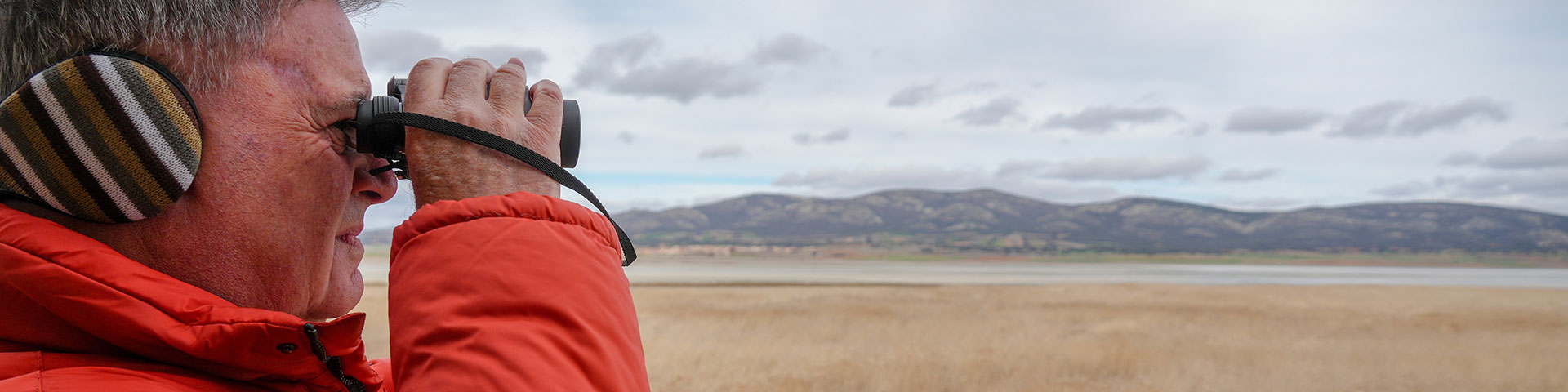 During winter, the Gallocanta Lagoon Natural Reserve (Aragon) offers the chance to observe dozens of bird species