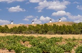 Panoramic view of the traditional windmills of La Mancha and the vineyards of Alcázar de San Juan Panoramic view of the traditional windmills of La Mancha and the vineyards of Alcázar de San Juan