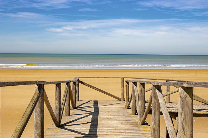 In Andalusia, five beaches have regained the Blue Flag distinction, three in Almería, one in Cádiz, and one in Granada. Pictured: Costa Ballena beach, located between the towns of Chipiona and Rota In Andalusia, five beaches have regained the Blue Flag distinction, three in Almería, one in Cádiz, and one in Granada. Pictured: Costa Ballena beach, located between the towns of Chipiona and Rota