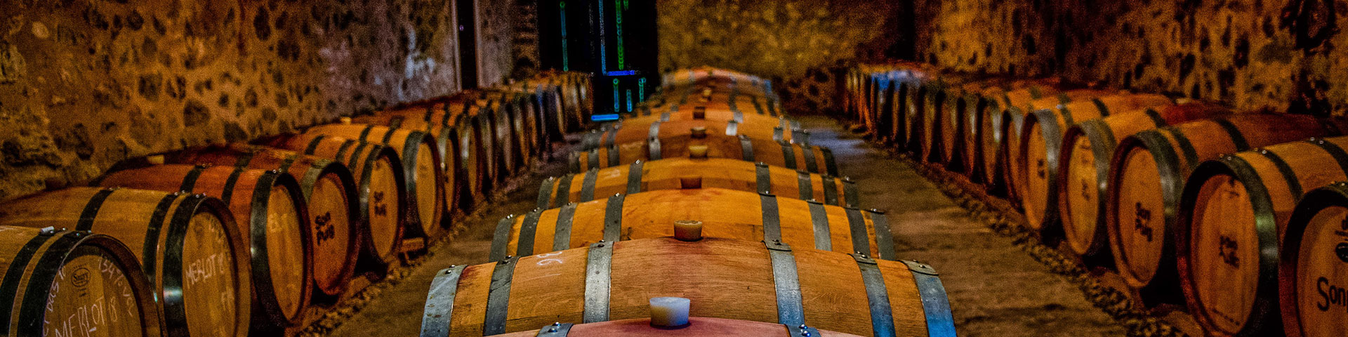 La Bodega Son Puig (Puigpunyent) apuesta por la viticultura biodinámica