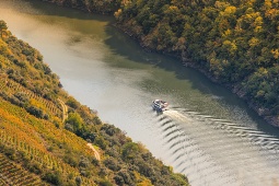 Heroic viticulture is the most traditional way of cultivating vineyards (pictured, those by the Sil River) belonging to the Ribeira Sacra Designation of Origin Heroic viticulture is the most traditional way of cultivating vineyards (pictured, those by the Sil River) belonging to the Ribeira Sacra Designation of Origin