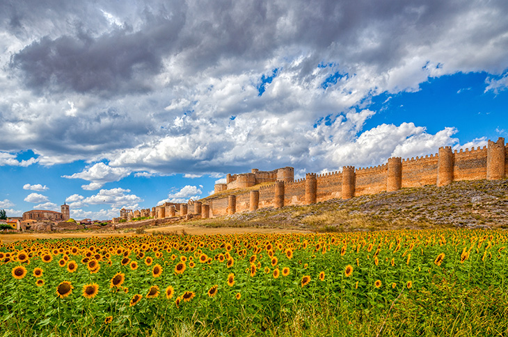 Berlanga de Duero Castle (Soria, Spain) Berlanga de Duero Castle (Soria, Spain)