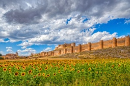 Zamek Berlanga de Duero (Soria, Hiszpania) Zamek Berlanga de Duero (Soria, Hiszpania)