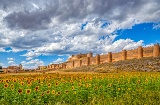 Zamek Berlanga de Duero (Soria, Hiszpania)
